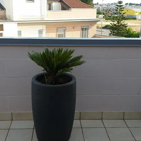 Comodo Attico In